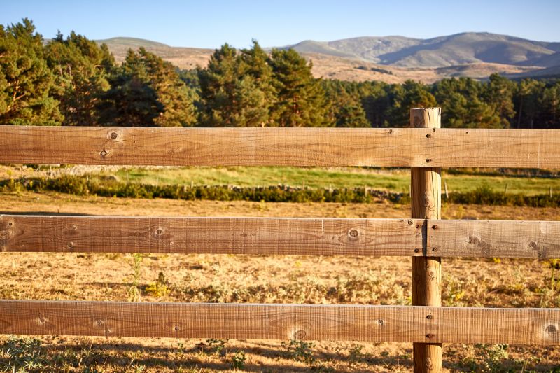 Wooden Dog Fence Installation in Pearland, TX
